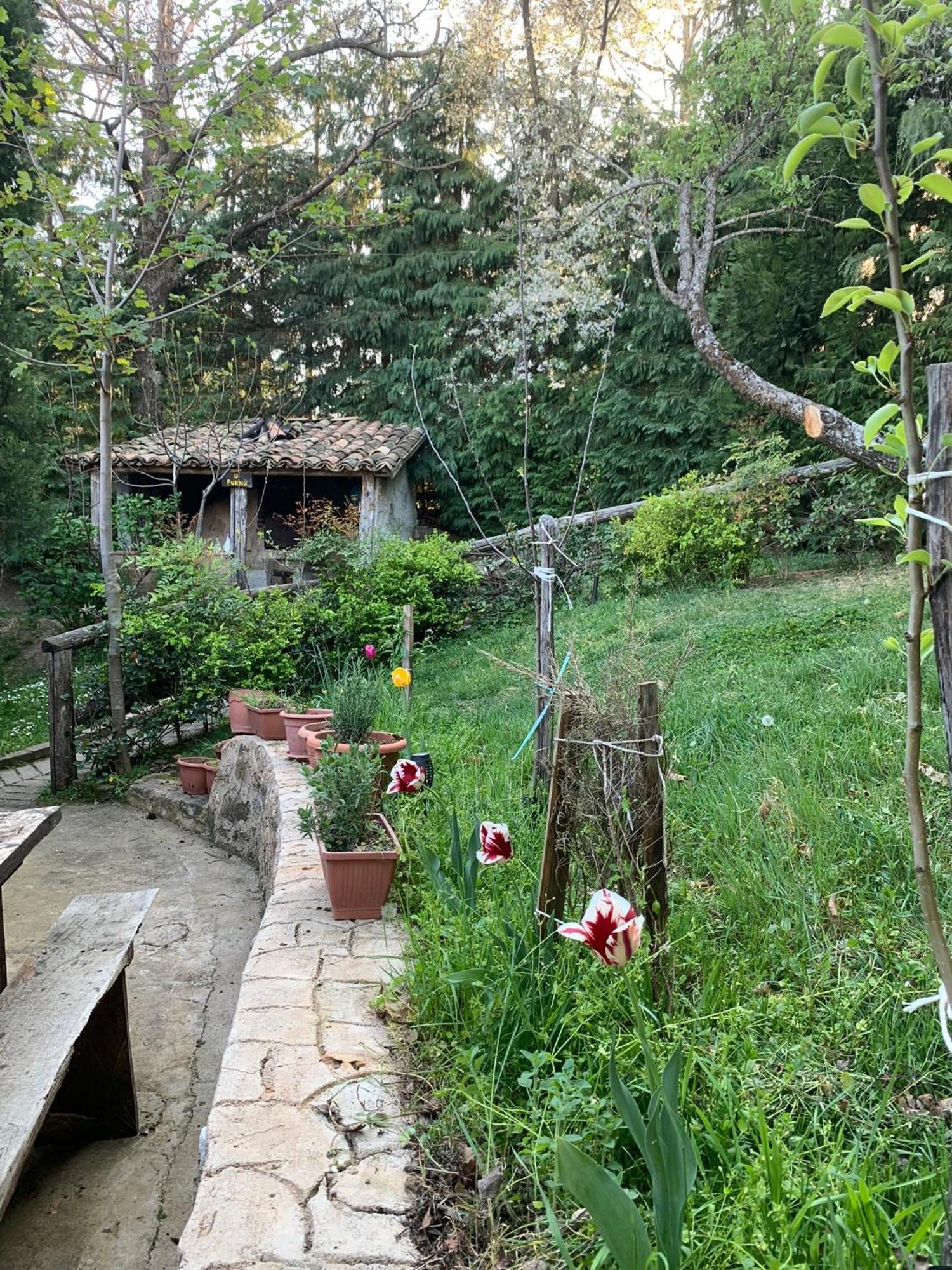 Agriturismo Carrozzino Sersale Extérieur photo